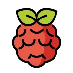 Raspberry Pi SVG Icon